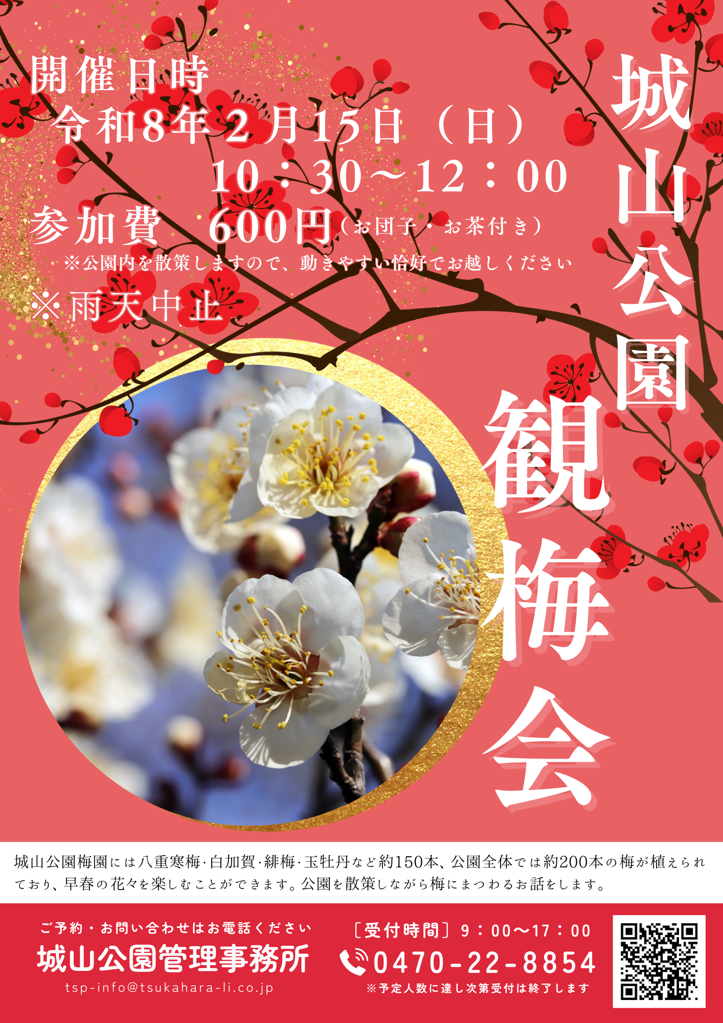 令和8年2月15日(日)　城山公園　観梅会